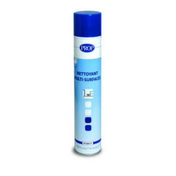 Nettoyant toutes surfaces - Aérosol de 750 ml