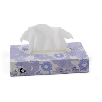 Mouchoirs cellulose Ecolabel 2 plis blanc Celtex - Carton de 40 x 100 F
