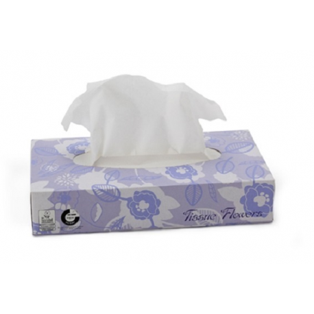 Mouchoirs cellulose Ecolabel 2 plis blanc Celtex - Carton de 40 x 100 F