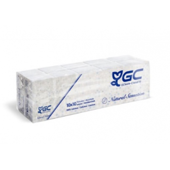 Paquet de 10 mouchoirs pocket cellulose "ECOLABEL" 3 plis blanc 21 x 21 CM - Carton de 25 colis de 10 paquets