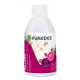 Mango Nachfüllpackung für Diffupack - Karton 6 x 243 ml