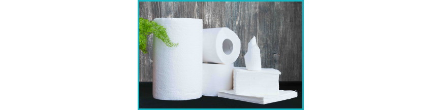 Küchenpapier, Haushaltspapier und Taschentücher